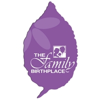 Leaf Hand Fan Without Stick