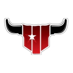 Longhorn Bull Paper Window Sign (Approximately 8"x8")