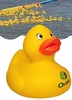 Branded River Race Rubber Ducks  with your custom printed branding or personalized logo.
