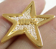 Lapel Pin in Star Shape w/ 110% Percent Text