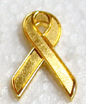 Gold Lapel Pin