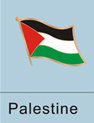 Palestine Flag Pin