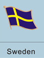 Swedish Flag Pin
