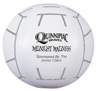 Volleyball Style Beachball... from ASI 42155 Amerifoam® - The House of Foam
