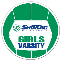 Volleyball Car Sign... from ASI 68507 The Magnet Group