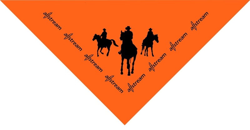 14 inch Triangle Bandanna - 100 Percent  Cotton - Imported... from ASI 44020 Bandanna Promotions By CARO-LINE