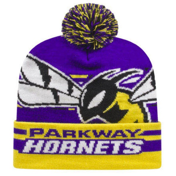 Custom Knit (Logo Knit-in) Beanie / Stocking Cap with Fine Detail... from ASI 43792 Cap America Inc