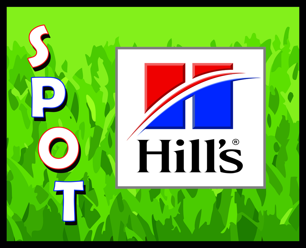 Full color 16" x 20" sublimation Branded Pet Bowl Food Mats... from ASI 76797 Pelican Graphics / Pelican Lures