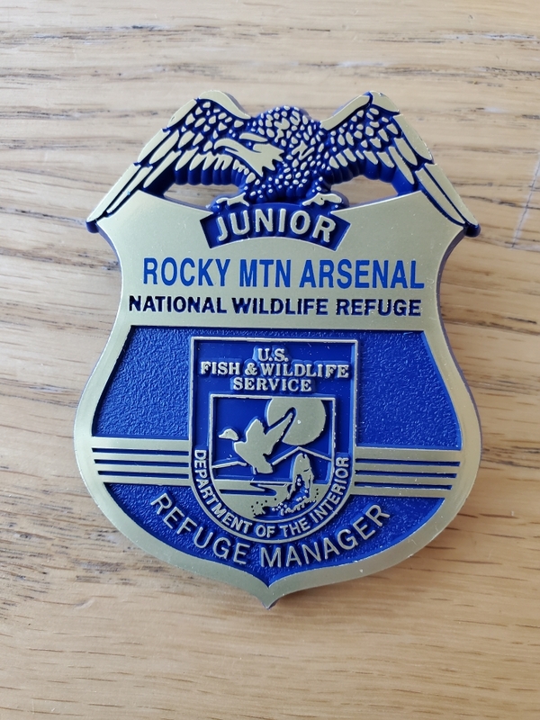 Junior Ranger Badge With pin or plastic clip option