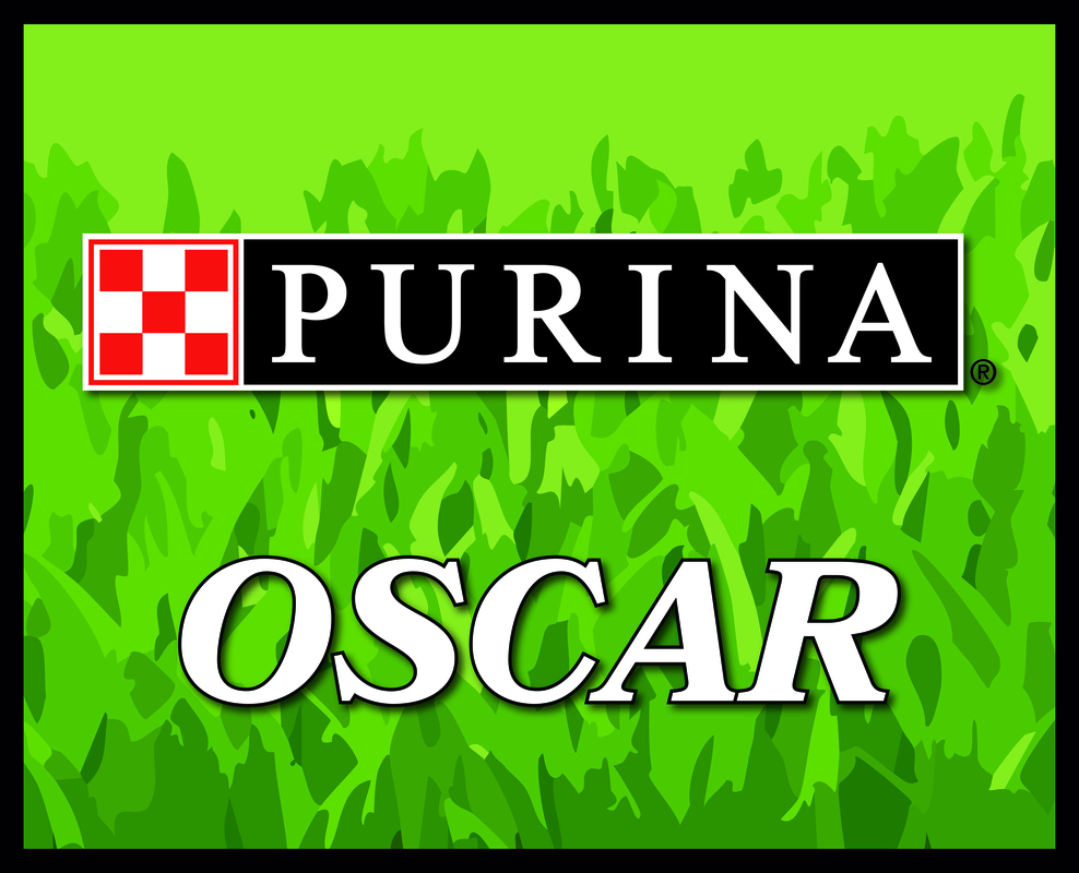 Full color 16" x 20" sublimation Branded Pet Bowl Food Mats... from ASI 76797 Pelican Graphics / Pelican Lures