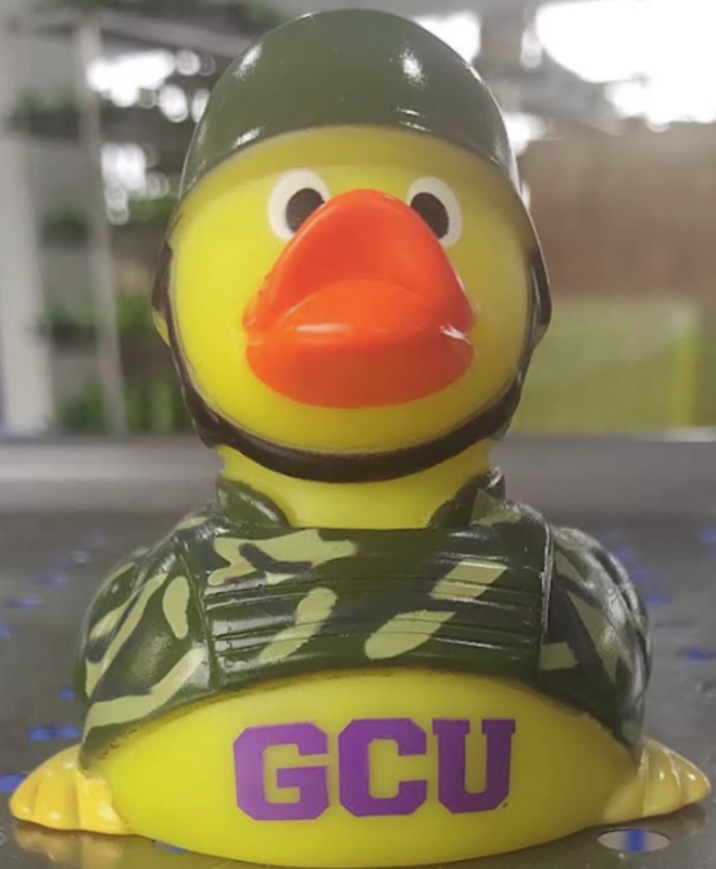 Rubber soldier duck.... from ASI 31977 Adline Industries Inc