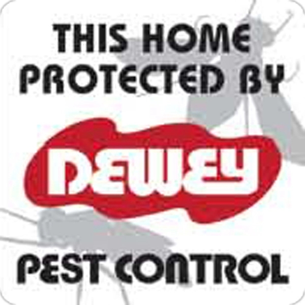 Customizable medium 8-mil thick clear static cling decal in white gloss... from ASI 59080 Halls & Company