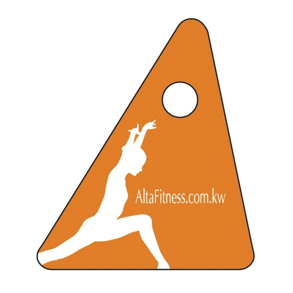 Small triangle key tag.... from ASI 75629 PSI Plastic Graphics / Plastic Graphics PSI