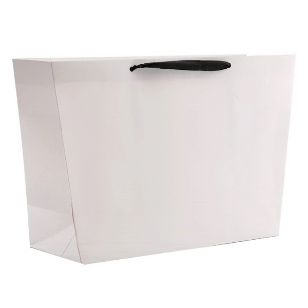 Heavyweight, matte laminated 20-16" x 6" x 12" bag for the... from ASI 92480 Uniflex / U F
