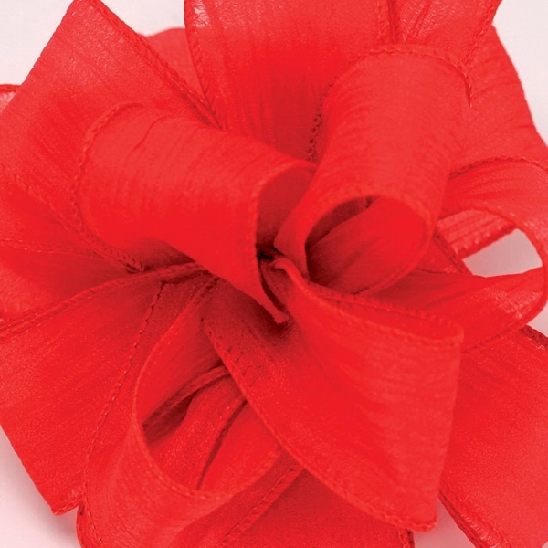 Monofilament edged, semi sheer ribbon. Blank.... from ASI 92480 Uniflex / U F