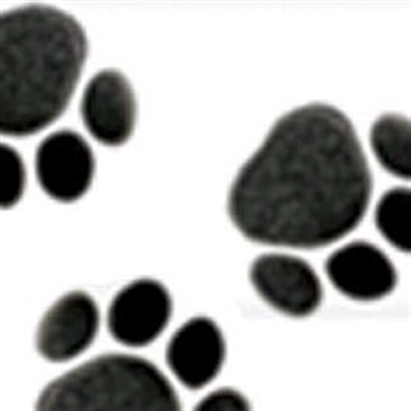 Curling Ribbon, roll is 250 yards. Blank.... from ASI 92480 Uniflex / U F