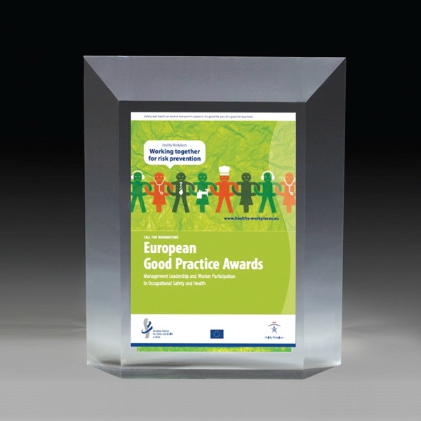 5" x 6" x 1 1/4" freestanding acrylic award.... from ASI 62660 Innovation Line