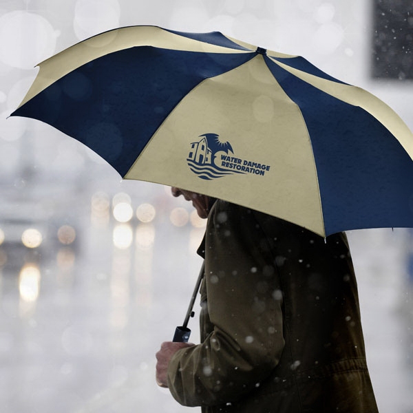 Auto open, folding umbrella with a plastic handle.... from ASI 93990 IMAGEN Brands