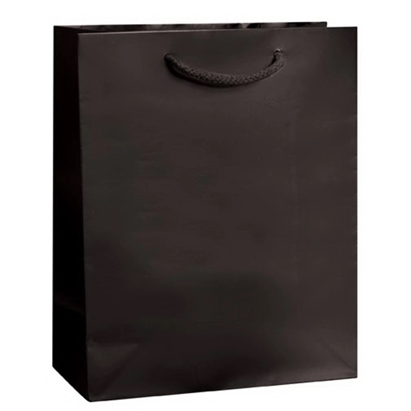 8" x 4" x 10" European style matte paper shopping bag... from ASI 35290 American Ad Bag Co