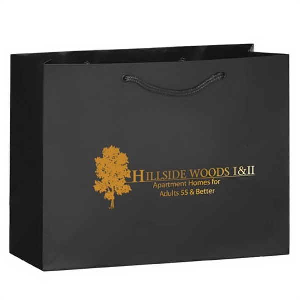 13" x 5" x 10" matte laminated paper Euro-style shopping bag... from ASI 35290 American Ad Bag Co