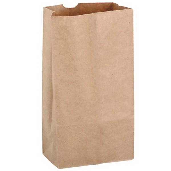 6 9/16" x 4 1/16" x 13 15/16" natural Kraft paper... from ASI 35290 American Ad Bag Co