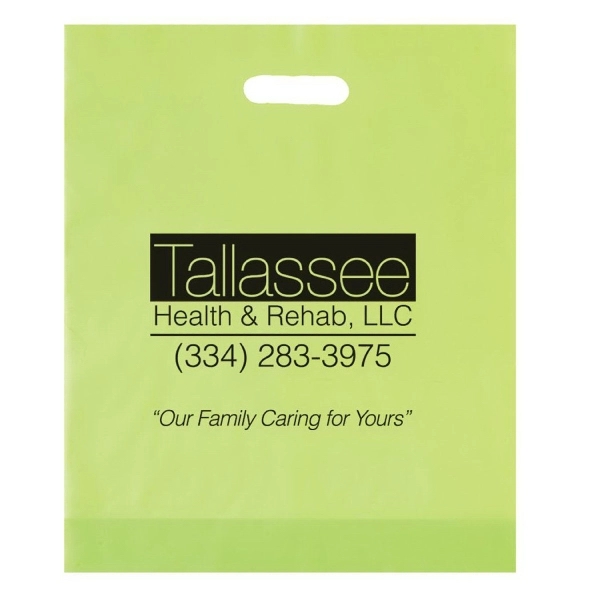 12" x 15" x 3" HDPE plastic bag with gusset and... from ASI 35290 American Ad Bag Co