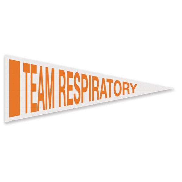 Durable, soft to the touch, plush classic white felt pennant measuring... from ASI 66390 LarLu