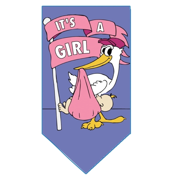 Special occasion stock design decorative applique flag with double sided design.... from ASI 31260 AdCapitol / The Flag Factory®