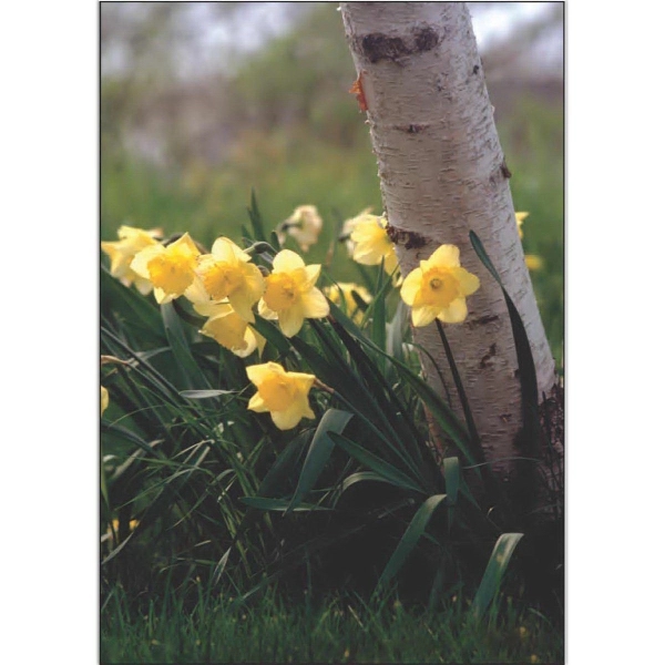 28" x 40" sublimated flag with two-sided daffodils design; fits all... from ASI 31260 AdCapitol / The Flag Factory®