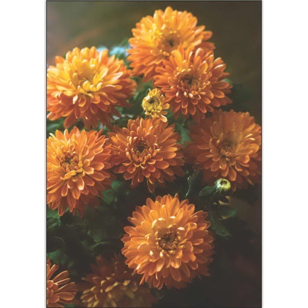 12" x 18" garden size sublimated flag with two-sided fall mums... from ASI 31260 AdCapitol / The Flag Factory®