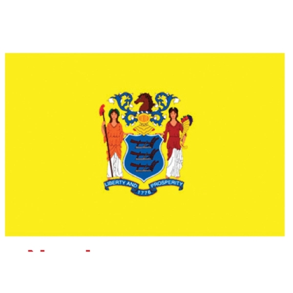 5' x 3' state and territorial flags with a 1" canvas... from ASI 31260 AdCapitol / The Flag Factory®