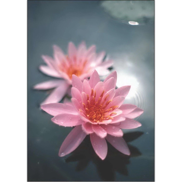 12" x 18" garden size sublimated flag with two-sided pink water... from ASI 31260 AdCapitol / The Flag Factory®