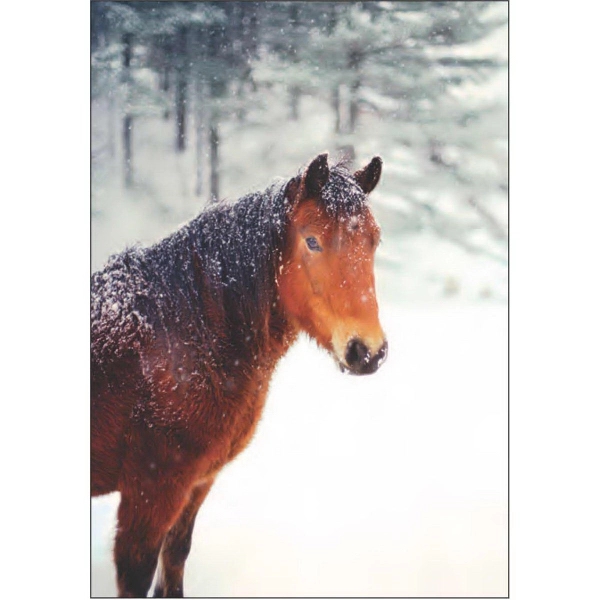 12" x 18" garden size sublimated flag with two-sided horse in... from ASI 31260 AdCapitol / The Flag Factory®