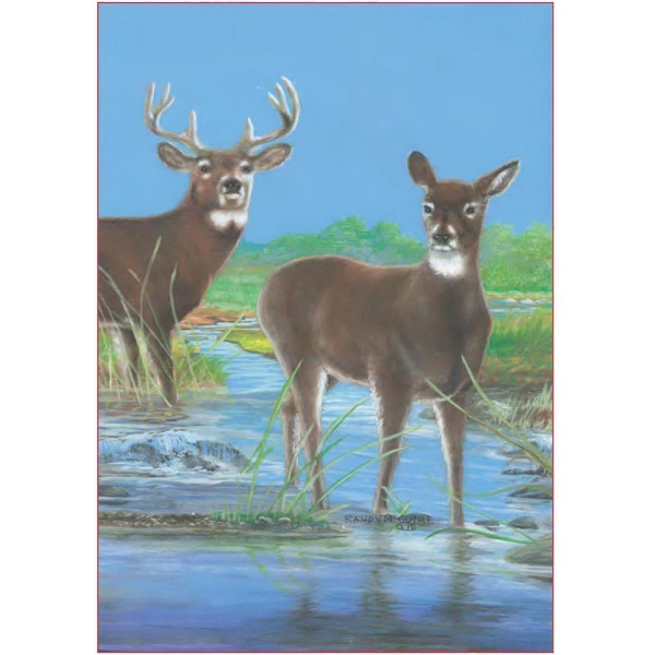 12" x 18" garden size sublimated flag with two-sided morning stroll... from ASI 31260 AdCapitol / The Flag Factory®