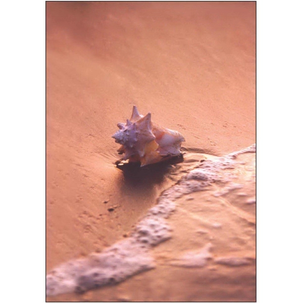 28" x 40" sublimated flag with two-sided conch shell at sunset... from ASI 31260 AdCapitol / The Flag Factory®