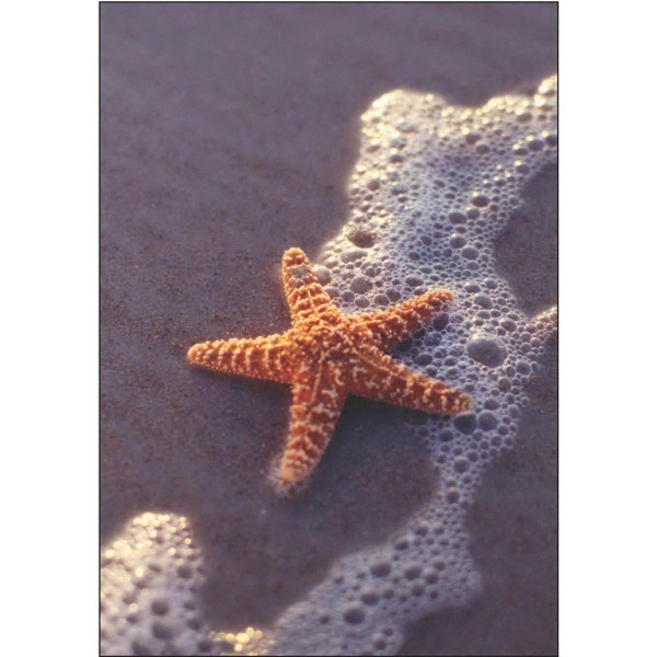 12" x 18" garden size sublimated flag with two-sided starfish on... from ASI 31260 AdCapitol / The Flag Factory®