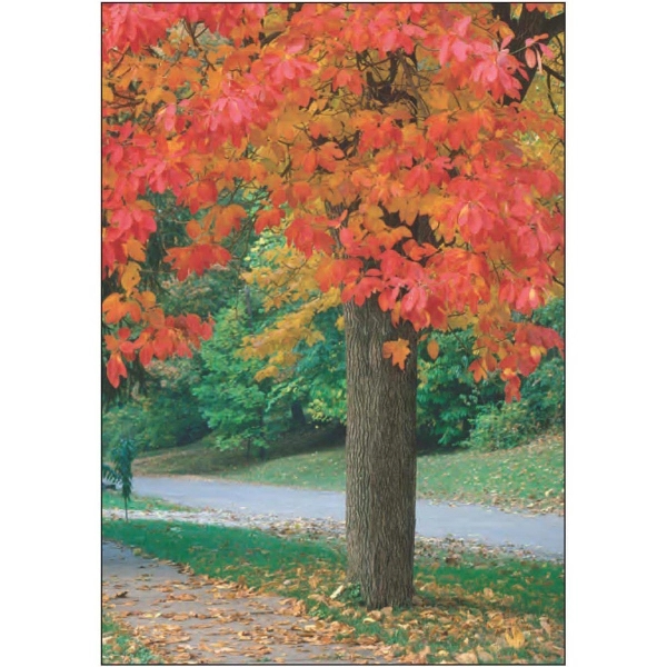 12" x 18" and 28" x 40" sublimated flag with two-sided... from ASI 31260 AdCapitol / The Flag Factory®