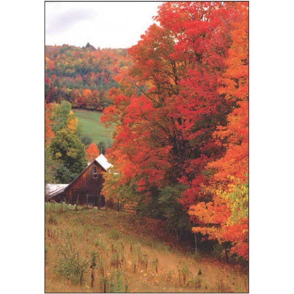 28" x 40" sublimated flag with two-sided fall splendor design; fits... from ASI 31260 AdCapitol / The Flag Factory®