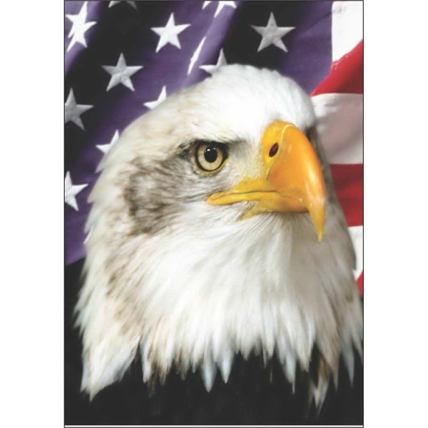 12" x 18" garden size sublimated flag with two-sided patriotic eagle... from ASI 31260 AdCapitol / The Flag Factory®
