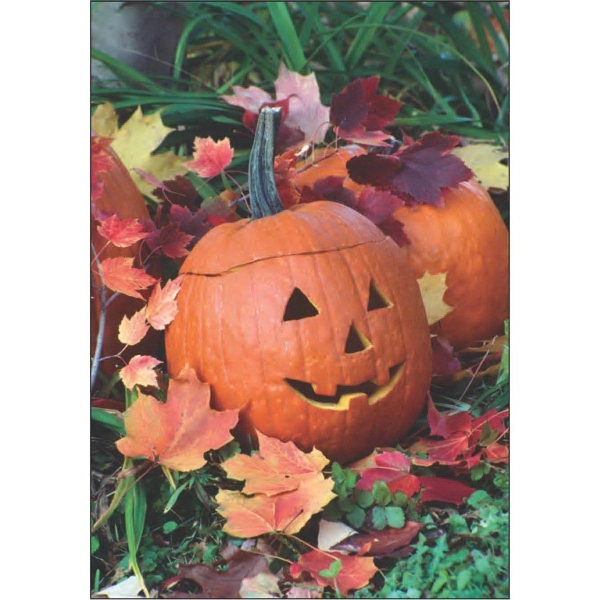 28" x 40" sublimated flag with two-sided Jack-O-Lantern design; fits all... from ASI 31260 AdCapitol / The Flag Factory®