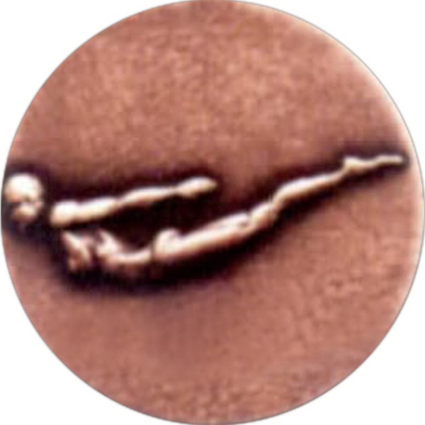 Newport mint medal with event insert, 1 1/8" overall.... from ASI 67961 Lorente LLC / Lorente