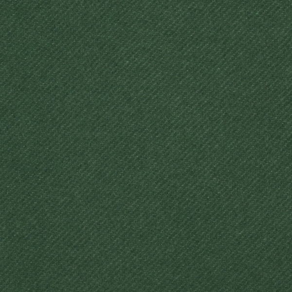 The Linun Luncheon Napkins are recyclable napkins that are printed in... from ASI 79541 Print Appeal,Inc. / Print Appeal