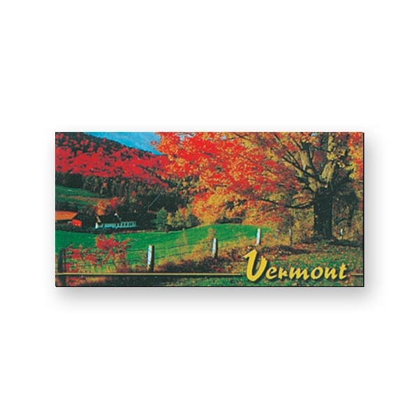 Stock rectangle flexible vinyl magnet with plastic coating.... from ASI 93520 Ventura Inc