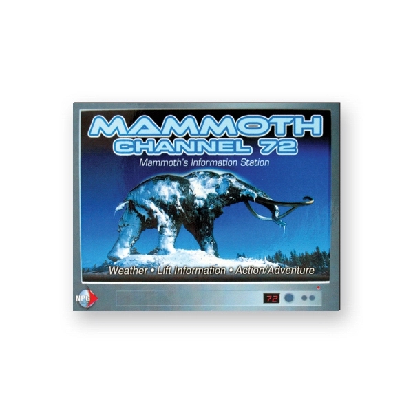 Stock rectangle flexible vinyl magnet with plastic coating.... from ASI 93520 Ventura Inc