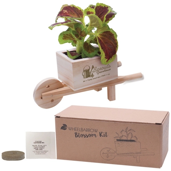 Customized wooden wheel barrow planter kit, with up to 23 available... from ASI 62190 Illini