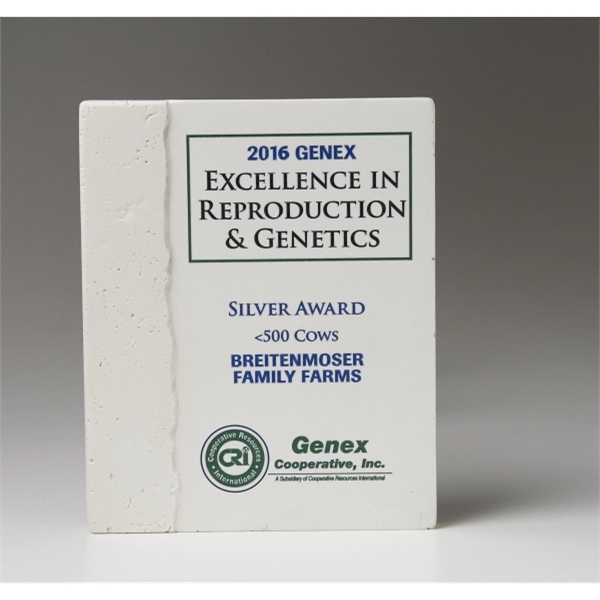 Large travertine accent plaque, 8" x 10".... from ASI 89860 StoneyCreek / StoneyCreek®