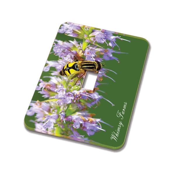 Light switch cover made of 1/16" thick sheet of acrylic, covering... from ASI 72521 Morris Magnets / Laser Cuts