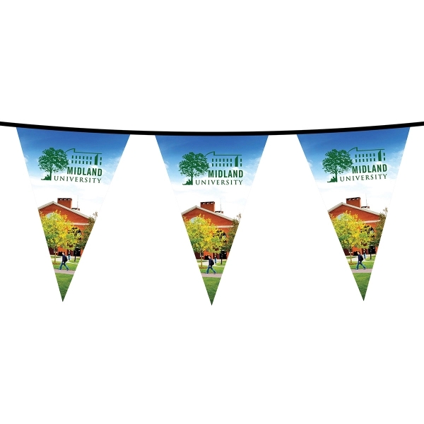 PVC Triangular pennant string; 60'.... from ASI 80228 Quinn