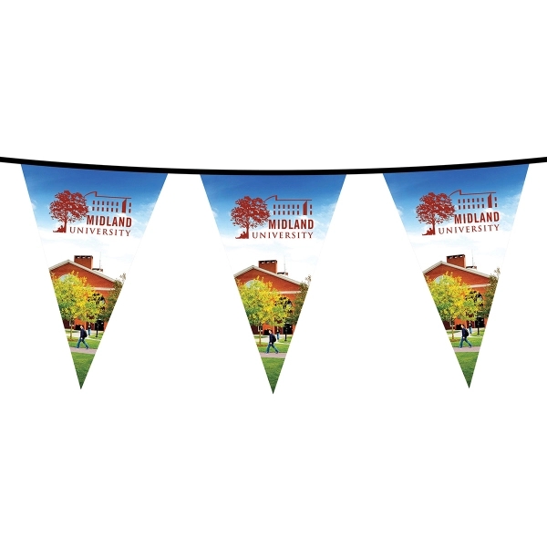 PVC Triangular pennant string; 100'.... from ASI 80228 Quinn