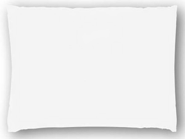 Polar fleece pet bed with non-allergenic poly fill insert, 35" x... from ASI 53509 FIEL-Fairdeal Import & Export / FIEL